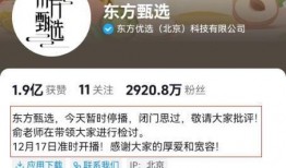 东方甄选团建爆料视频,团队风采与凝聚力大展示